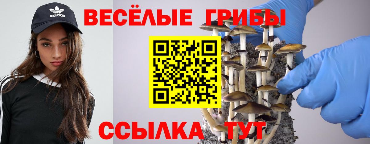 Псилоцибиновые грибы прущие грибы  Вход с VPN  Кириши  Галлюциногенные грибы Magic Shrooms 