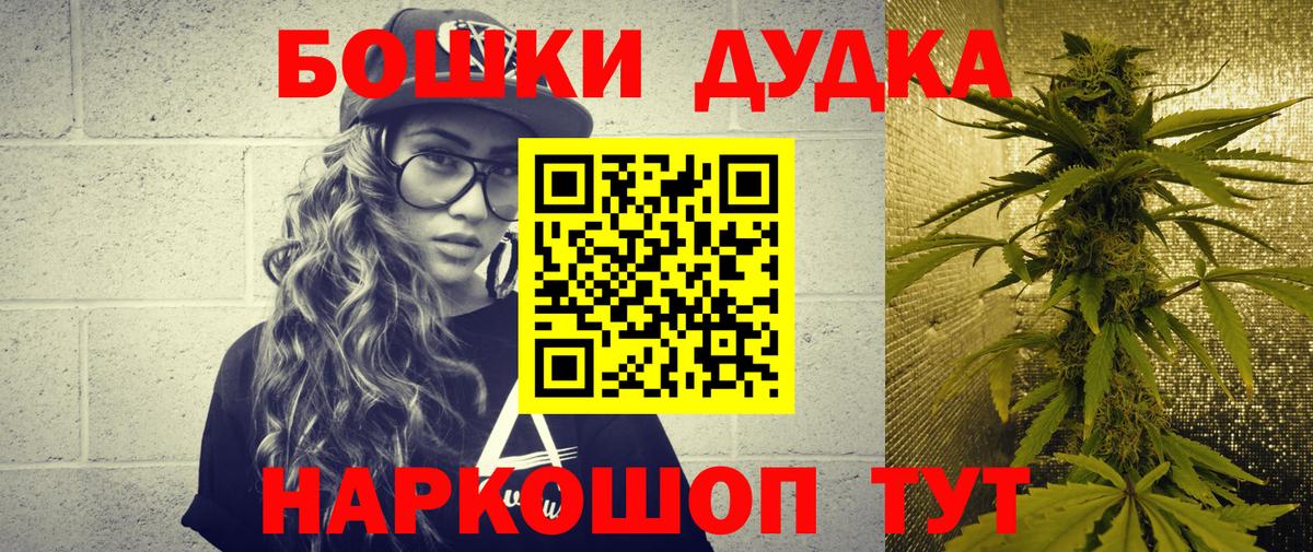 Каннабис сатива Кириши